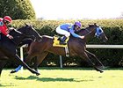 Something Extra bounds home to take the Shakertown Stakes.