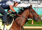 The first reported foal by Normandy Invasion was born in New York.