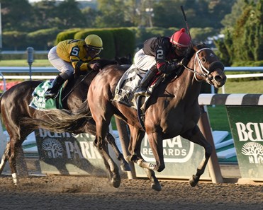 Paulassilverlining captures the 2014 Grade II Matron Stakes at Belmont Park.