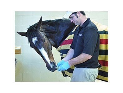 Rachel Alexandra at Rood and Riddle Feb. 18th.