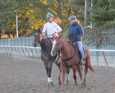 A chilly, cloudless October morning at Beautiful Belmont provided the setting for trainer Bill Mott and his band of Breeders' Cup big guns. First it was Royal Delta who hit the track at 6:45 for her half-mile work.