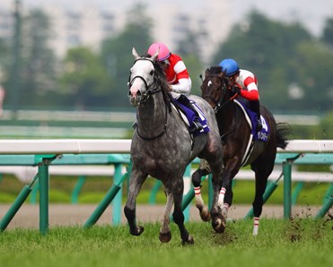 Dual Japanese classic winner Gold Ship earned a Breeders' Cup Turf (gr. IT) berth when shaking off Gentildonna and charging past leader Danon Ballade for a clear win in the Takarazuka Kinen (Jpn-I) June 23, 2013 at Hanshin Racecourse. Gentildonna finishes 3rd in the race.