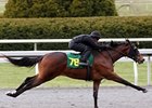 Hip #78, a Dixie Union filly named Dixie Blossom, worked a furlong in :9 4/5.