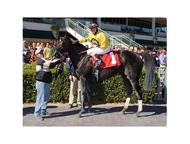 Abigail Fuller after winning race 2 at Gulfstream Park.
