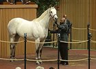 $4M Awesome Maria Tops Keeneland Opener $4M Awesome Maria Tops Keeneland Opener