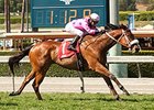 Get Happy Mister wins the San Simeon Stakes.