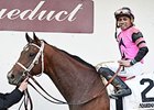 Far From Over
<br><a target="blank" href="http://photos.bloodhorse.com/AtTheRaces-1/At-the-Races-2015/i-mx34z4S">Order This Photo</a>