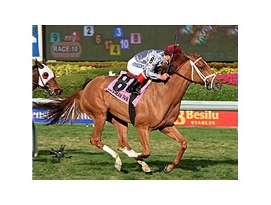 Sandiva flies home to win the Suwannee River Stakes.<br><a target="blank" href="http://photos.bloodhorse.com/AtTheRaces-1/At-the-Races-2015/i-CWrLg4m">Order This Photo</a>