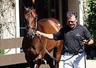Stonestreet Lands Pioneerof the Nile Colt Stonestreet Lands Pioneerof the Nile Colt