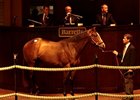 Hip 27, a colt by Malibu Moon -- Fashion Cat, by Forest Wildcat, was the sale topper.