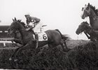 Hall of Fame: Tuscalee Takes a Bow Hall of Fame: Tuscalee Takes a Bow