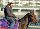 Yoshida Purchases Top Mare Sarafina Yoshida Purchases Top Mare Sarafina