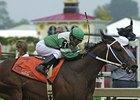 Disco Rico Euthanized After Laminitis Battle Disco Rico Euthanized After Laminitis Battle