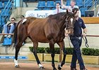 Australian group III winner One World, Lot 127, sold for the top price of Aust$720,000 ($746,721 in U.S. funds).