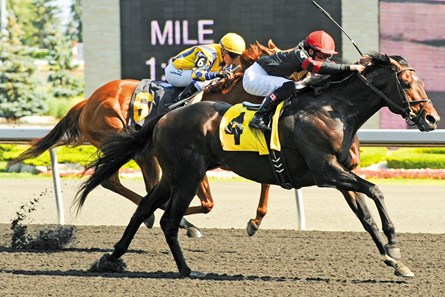 Jockey Emma Jayne Wilson guides Stronach Stable's Hunters Bay to victory in the 2012 $200,000 Dominion Day Stakes.