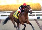 Dads Caps to Enter Stud at Legacy Ranch in California Dads Caps to Enter Stud at Legacy Ranch in California