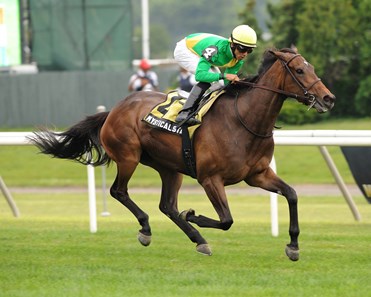 Mystical Star shines in the 2012 New York Stakes at Belmont Park.