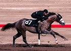 Hip #67, a colt by Dunkirk, worked in :09 3/5.