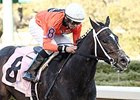 Sarah Sis won the Honeybee Stakes at Oaklawn Park March 7.