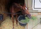 Princess of Sylmar