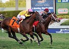 Mshawish gets the win over Slumber in the Gulfstream Park Turf Handicap.<br><a target="blank" href="http://photos.bloodhorse.com/AtTheRaces-1/At-the-Races-2015/i-d9bjvGj">Order This Photo</a>