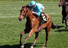 Lady Eli Showing Improvement From Laminitis Lady Eli Showing Improvement From Laminitis