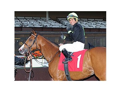Javier Castellano celebrates his 6th win at Aqueduct on November 9.