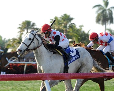 Za Approval and jockey Jose Lezcano take the 2013 Grade III Skip Away Stakes at Gulfstream Park.