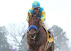 American Pharoah