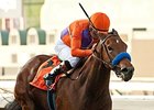 Baffert Double Tough in Eight Belles Baffert Double Tough in Eight Belles