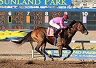 Sunland Park Cancels Derby, Oaks Sunland Park Cancels Derby, Oaks