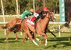 Testa Rossi winner of the Endeavour Stakes via disqualification.