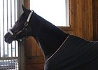 Rachel Alexandra returned to Stonestreet Farm March 26.
