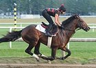 Orb works on 8/19/2013.
<br><a target="blank" href="http://photos.bloodhorse.com/AtTheRaces-1/at-the-races-2013/27257665_QgCqdh#!i=2710319220&k=Dc25Lzc">Order This Photo</a>