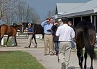 Keeneland April 2-Year-Olds Sale on Hiatus Keeneland April 2-Year-Olds Sale on Hiatus