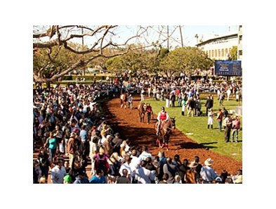 Santa Anita Park