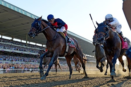 Tonalist - Horse Profile - Bloodhorse