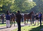 Fasig-Tipton October Sale.