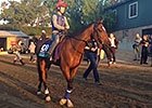 Breeders' Cup 2014: Dank Clears Quarantine Breeders' Cup 2014: Dank Clears Quarantine