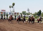Alameda County Fair Racetrack.