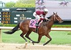 Untapable Aims for Apple Blossom Repeat Untapable Aims for Apple Blossom Repeat