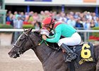 Speechify won the 2014 Mr. Prospector Stakes.