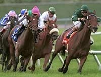 European Shippers Light Up the Board in Del Mar Oaks European Shippers Light Up the Board in Del Mar Oaks