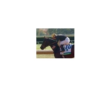 Miss Linda became the fifth South American-bred winner of the Spinster.
