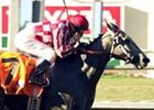 Del Mar Debutante winner Wild Fit returns in Saturday's Las Virgenes.