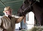 HBO Cancels 'Luck' After Third Horse Death HBO Cancels 'Luck' After Third Horse Death
