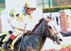 Grade II Winner Snow Dance Euthanized Grade II Winner Snow Dance Euthanized