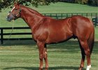 Ocean Terrace's First Winner Ocean Terrace's First Winner