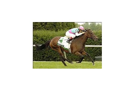 Intercontinental sharp in WinStar Galaxy win.