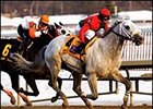 Silver Wagon Wins Showdown With Ah Day in General George Silver Wagon Wins Showdown With Ah Day in General George